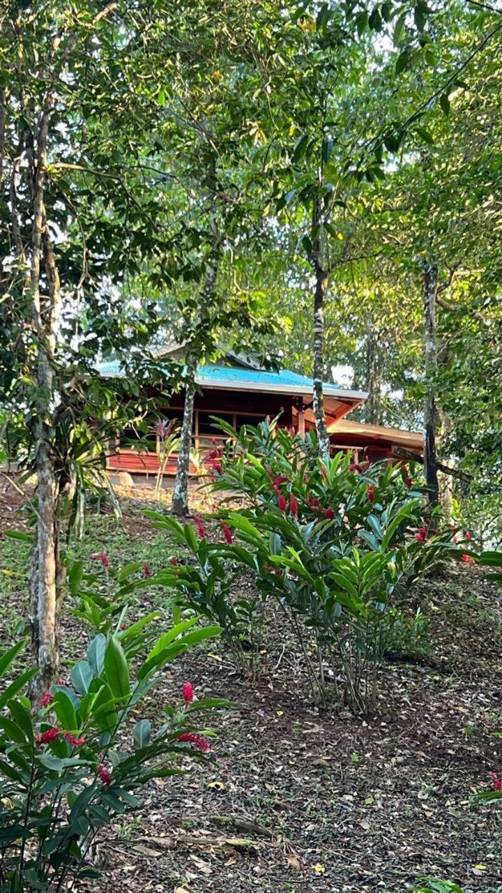 Akwaba Lodge The Gap Quarto foto